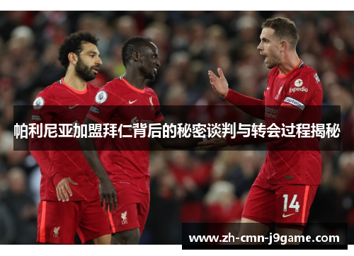 帕利尼亚加盟拜仁背后的秘密谈判与转会过程揭秘