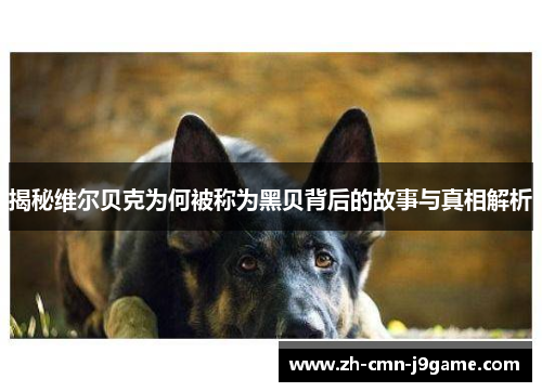 揭秘维尔贝克为何被称为黑贝背后的故事与真相解析