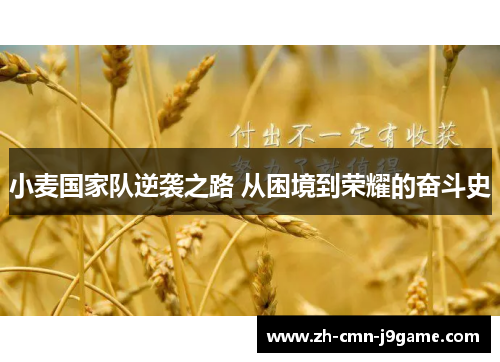小麦国家队逆袭之路 从困境到荣耀的奋斗史